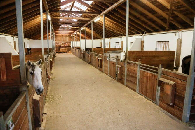 KERBL IPCam 360 FHD Compact